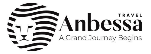 anbesa-logo-black