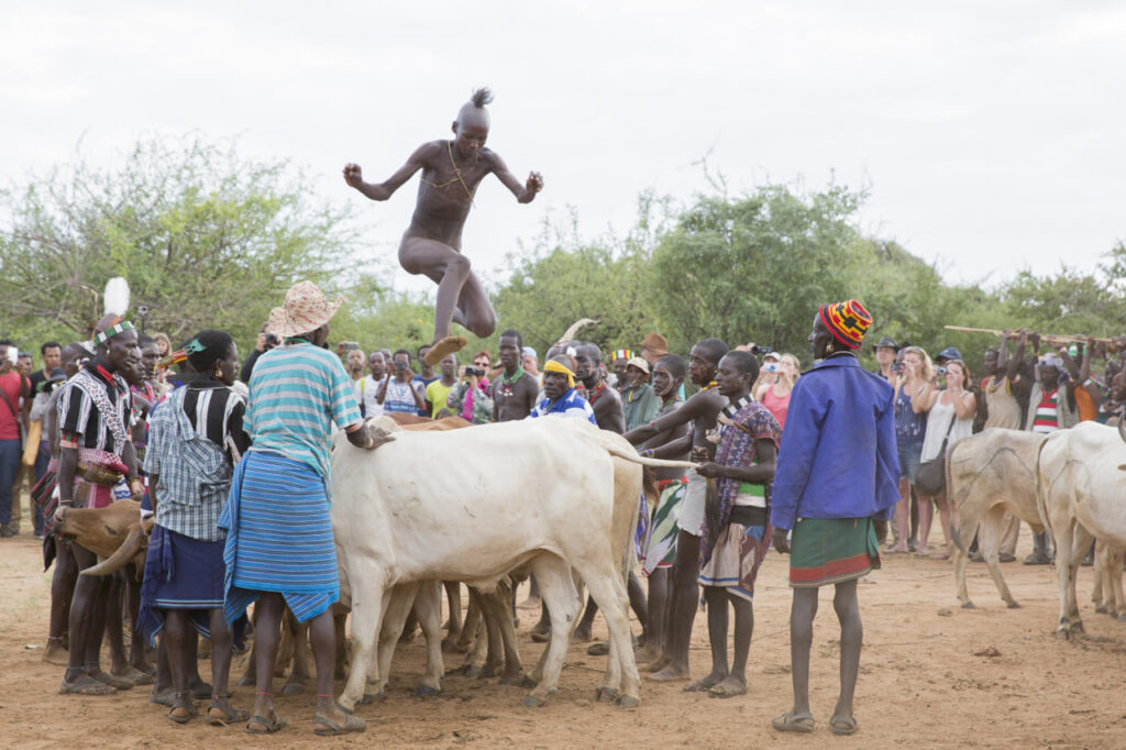Bull Jumping Tradition