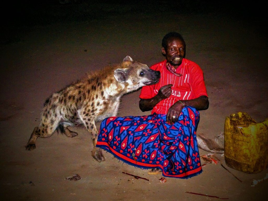 Harar cultural feeding Hyenas Ritual